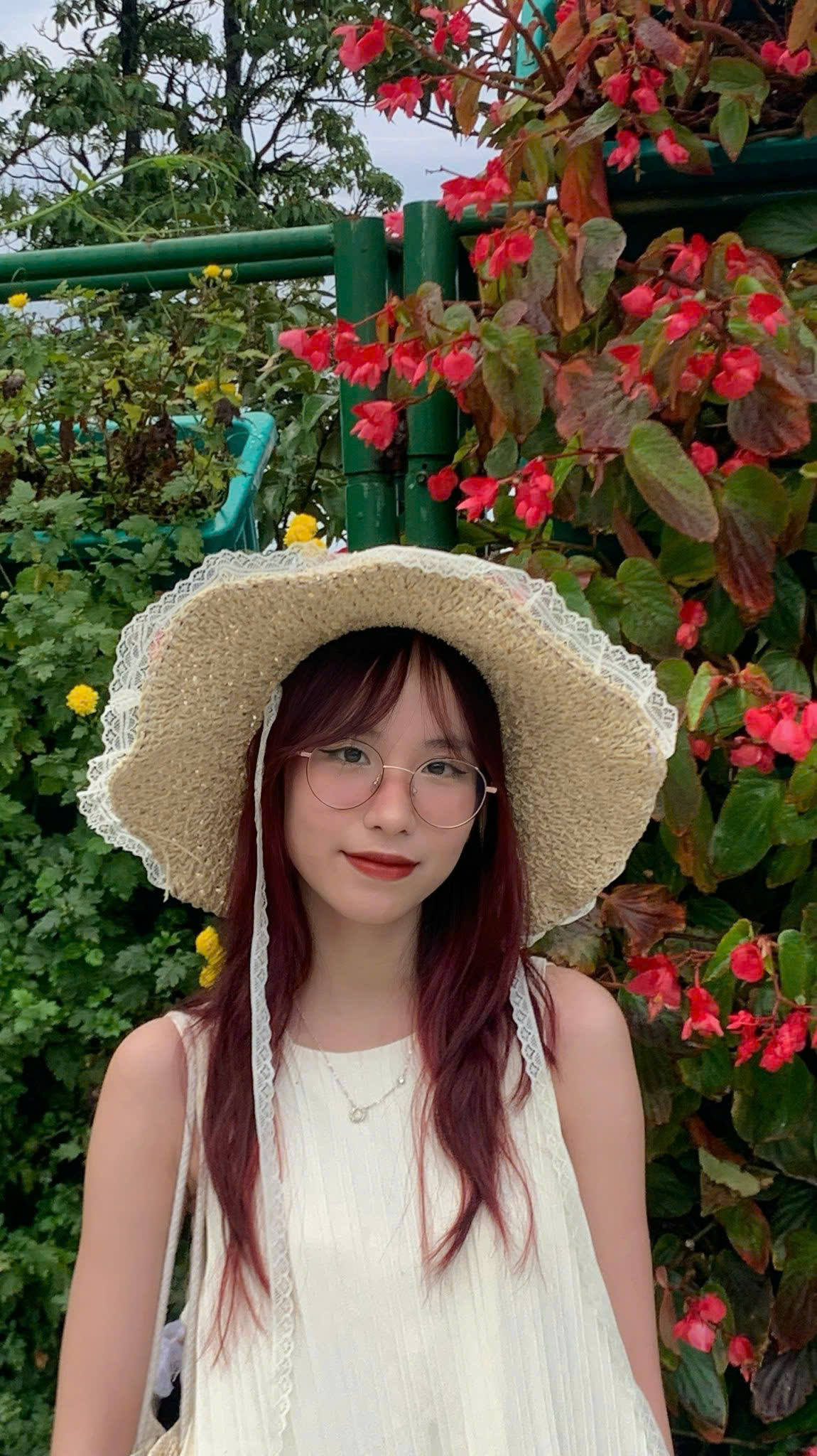 Hải Ly